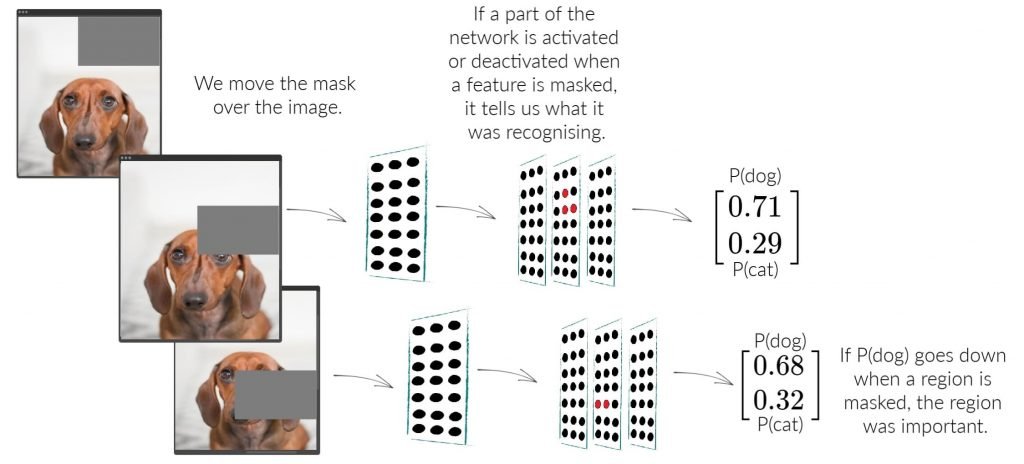 Convolutional neural network explainability by masking parts of a dog image