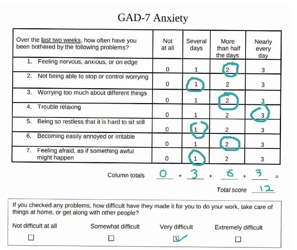 GAD-7 anxiety questionnaire