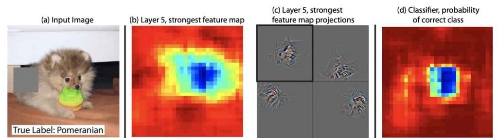 If you grey out different segments of an input image you can see what part of the neural network as affected by layer 5. This is starting to make the model more explainable. Image credit: Zeiler & Fergus (2014)