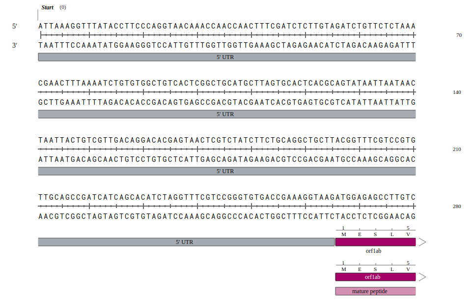 The first few base pairs of the COVID-19 genome. Source: snapgene.com. AI in pharma.